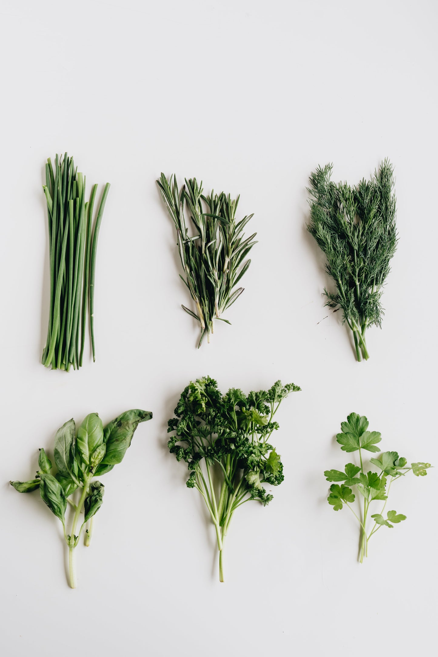 Fresh Herb Blend