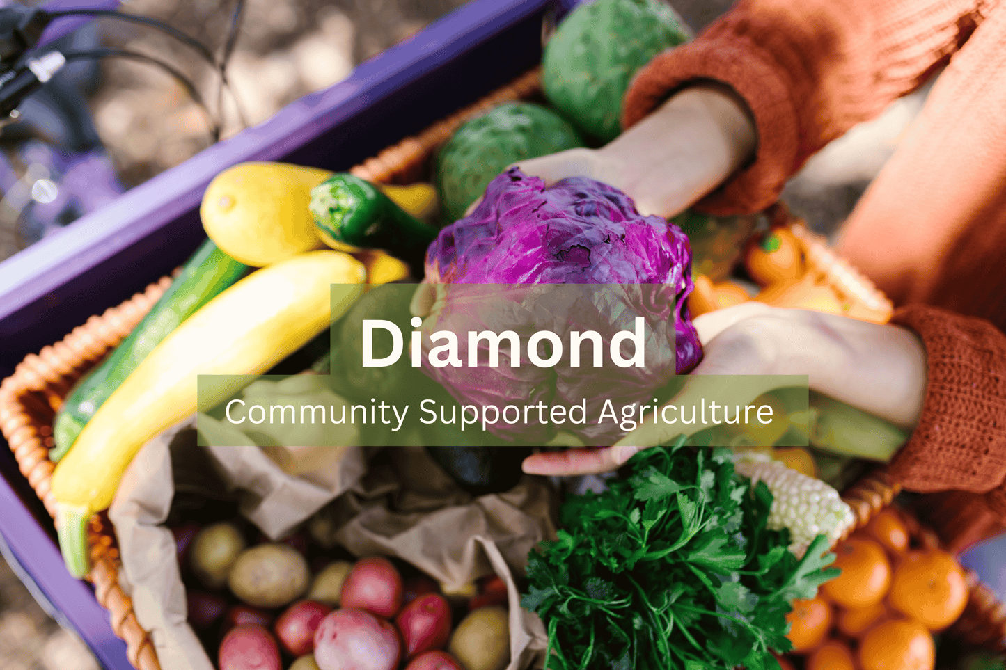 Diamond (Great for big families)