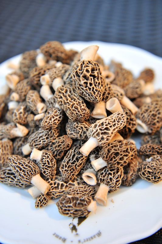 Morel Mushroom Butter